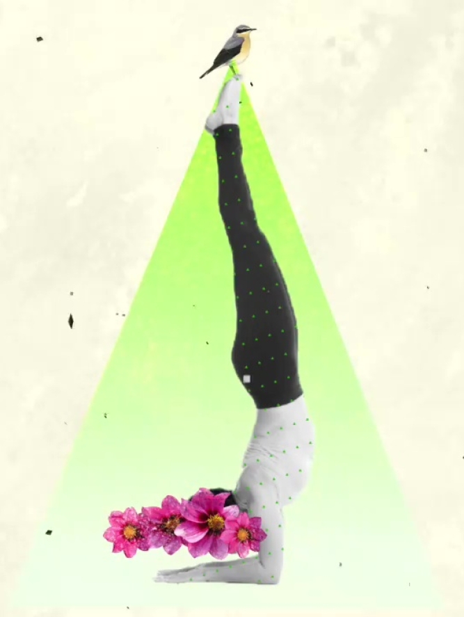 grphic design